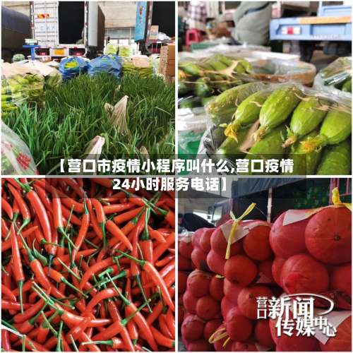 【营口市疫情小程序叫什么,营口疫情24小时服务电话】-第1张图片