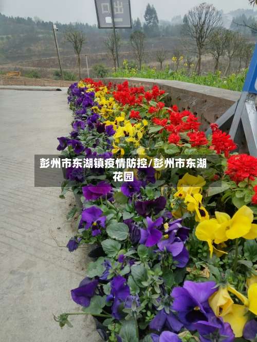 彭州市东湖镇疫情防控/彭州市东湖花园-第1张图片