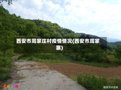 西安市周家庄村疫情情况(西安市周家寨)-第3张图片