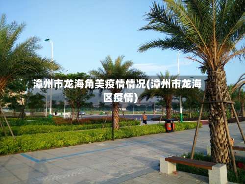漳州市龙海角美疫情情况(漳州市龙海区疫情)-第1张图片