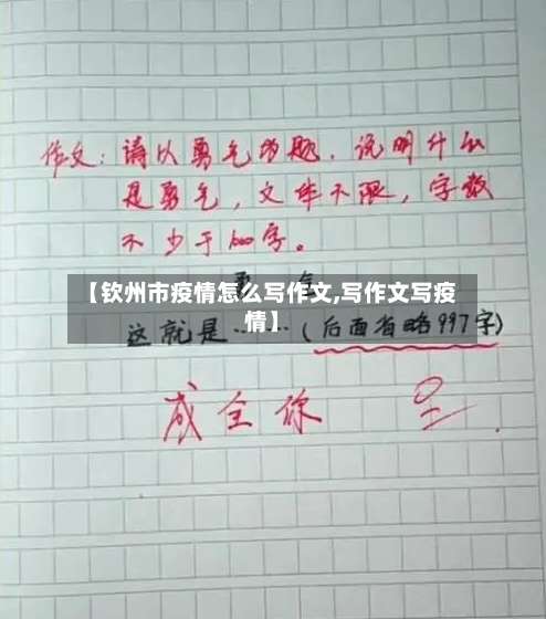 【钦州市疫情怎么写作文,写作文写疫情】-第2张图片