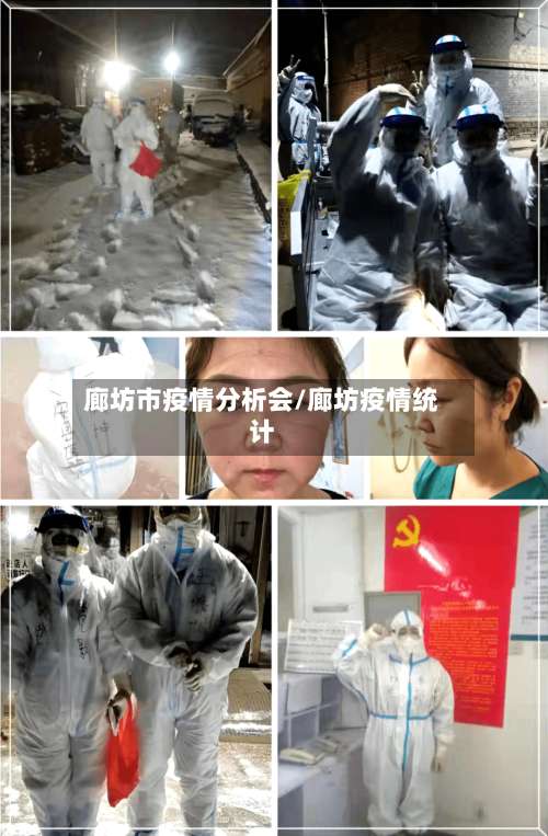 廊坊市疫情分析会/廊坊疫情统计-第3张图片