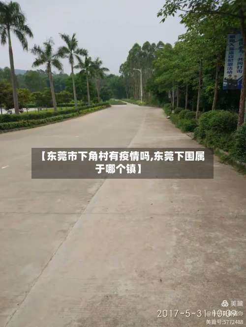 【东莞市下角村有疫情吗,东莞下围属于哪个镇】-第1张图片
