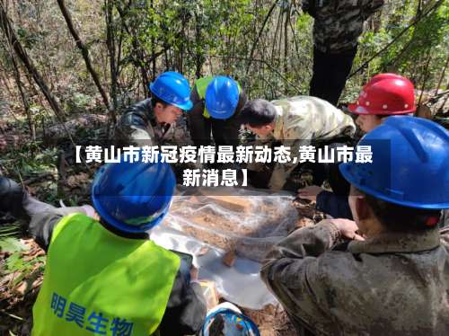 【黄山市新冠疫情最新动态,黄山市最新消息】-第1张图片