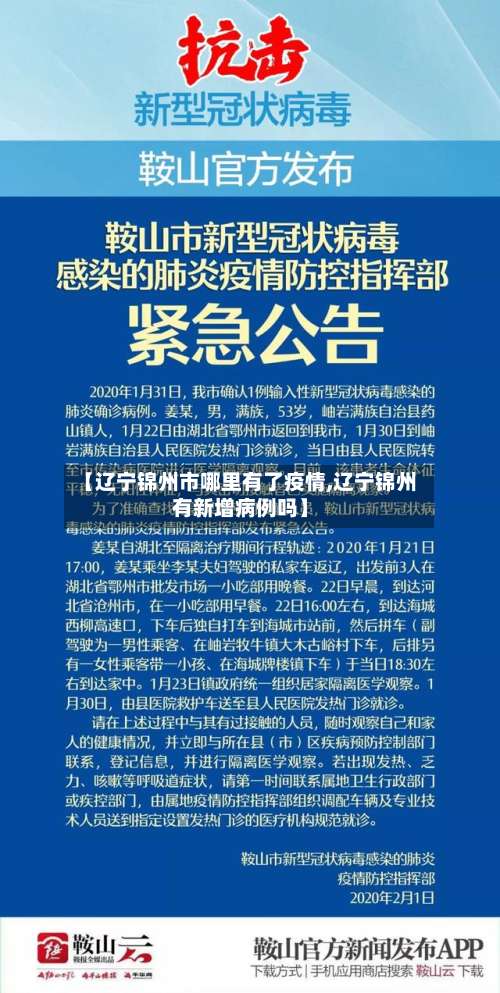 【辽宁锦州市哪里有了疫情,辽宁锦州有新增病例吗】-第3张图片