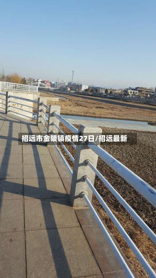 招远市金陵镇疫情27日/招远最新-第1张图片