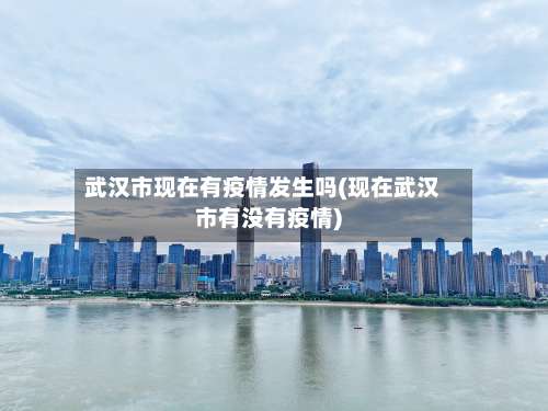 武汉市现在有疫情发生吗(现在武汉市有没有疫情)-第2张图片