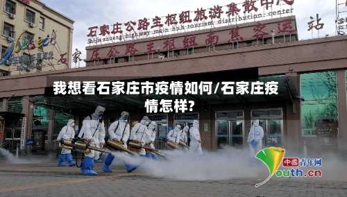 我想看石家庄市疫情如何/石家庄疫情怎样?-第1张图片