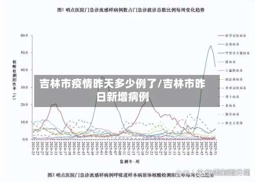 吉林市疫情昨天多少例了/吉林市昨日新增病例-第1张图片