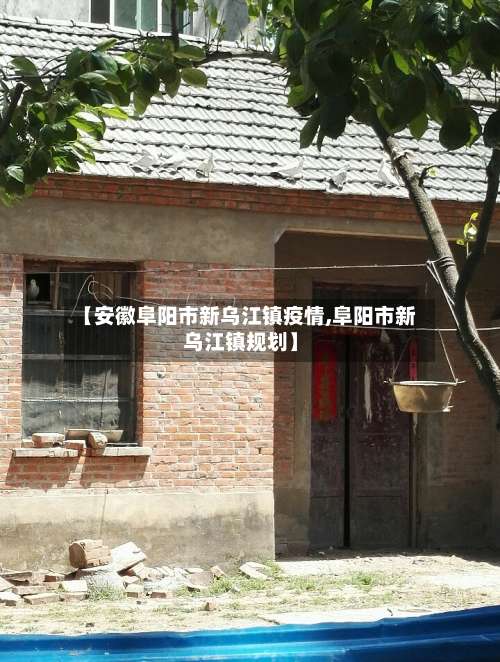 【安徽阜阳市新乌江镇疫情,阜阳市新乌江镇规划】-第3张图片