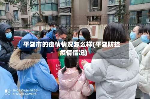 平湖市的疫情情况怎么样(平湖防控疫情情况)-第2张图片