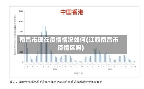 南昌市现在疫情情况如何(江西南昌市疫情区吗)-第1张图片