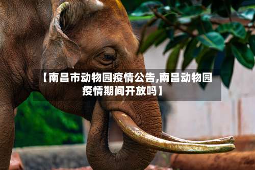 【南昌市动物园疫情公告,南昌动物园疫情期间开放吗】-第1张图片