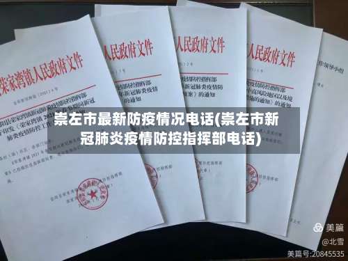 崇左市最新防疫情况电话(崇左市新冠肺炎疫情防控指挥部电话)-第2张图片