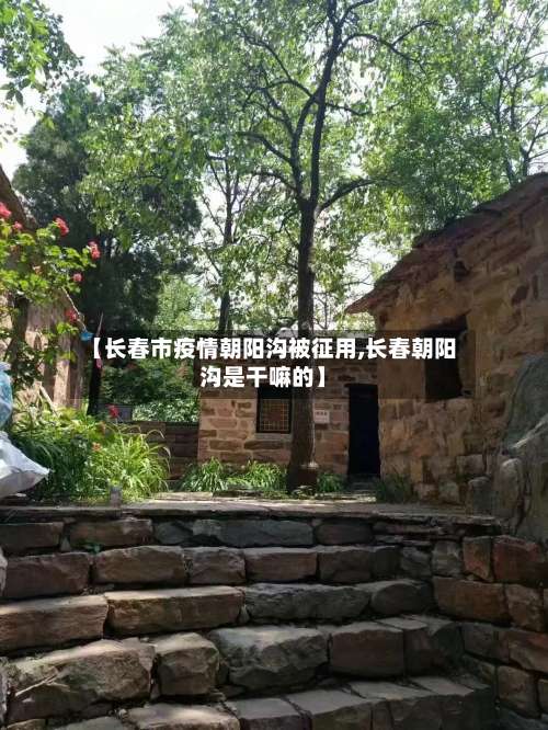 【长春市疫情朝阳沟被征用,长春朝阳沟是干嘛的】-第1张图片