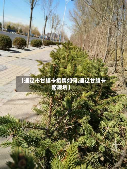 【通辽市甘旗卡疫情如何,通辽甘旗卡路规划】-第3张图片