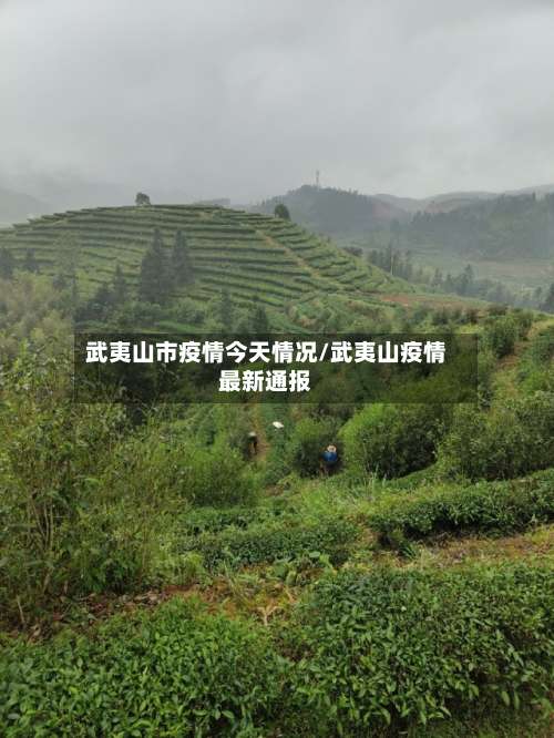武夷山市疫情今天情况/武夷山疫情最新通报-第3张图片