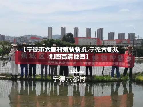 【宁德市六都村疫情情况,宁德六都规划图高清地图】-第3张图片