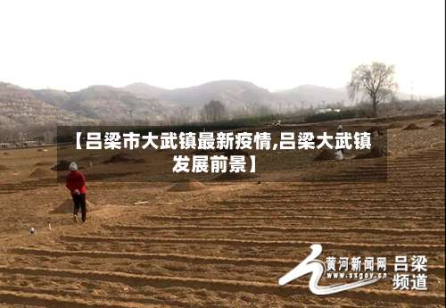 【吕梁市大武镇最新疫情,吕梁大武镇发展前景】-第1张图片