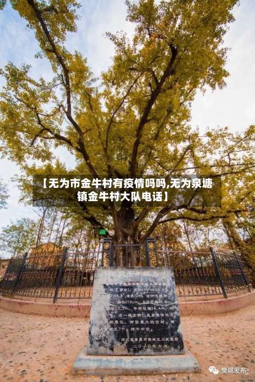 【无为市金牛村有疫情吗吗,无为泉塘镇金牛村大队电话】-第1张图片
