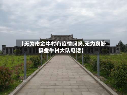 【无为市金牛村有疫情吗吗,无为泉塘镇金牛村大队电话】-第2张图片