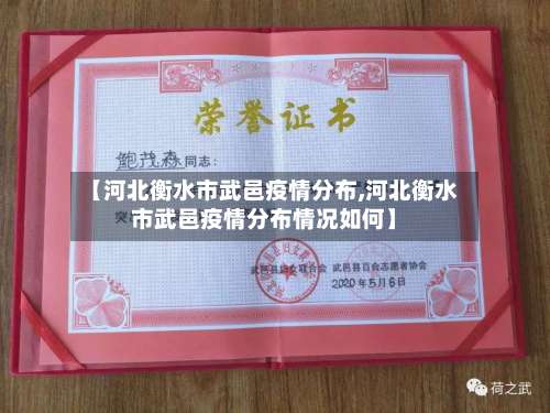 【河北衡水市武邑疫情分布,河北衡水市武邑疫情分布情况如何】-第1张图片
