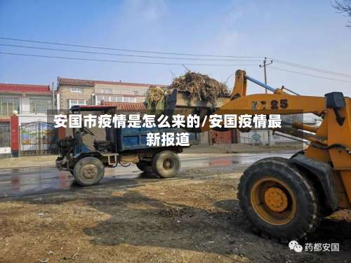 安国市疫情是怎么来的/安国疫情最新报道-第3张图片