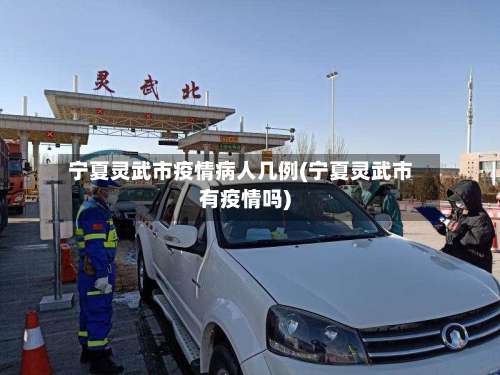 宁夏灵武市疫情病人几例(宁夏灵武市有疫情吗)-第1张图片