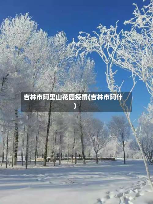 吉林市阿里山花园疫情(吉林市阿什)-第2张图片