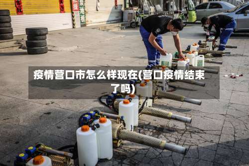 疫情营口市怎么样现在(营口疫情结束了吗)-第2张图片