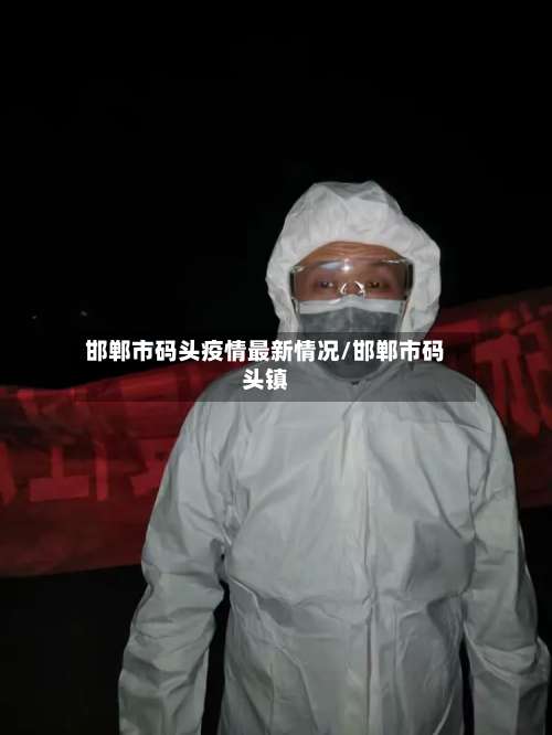 邯郸市码头疫情最新情况/邯郸市码头镇-第2张图片