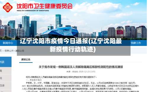 辽宁沈阳市疫情今日通报(辽宁沈阳最新疫情行动轨迹)-第1张图片