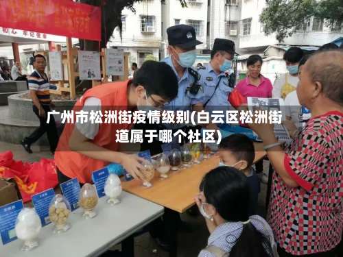 广州市松洲街疫情级别(白云区松洲街道属于哪个社区)-第2张图片