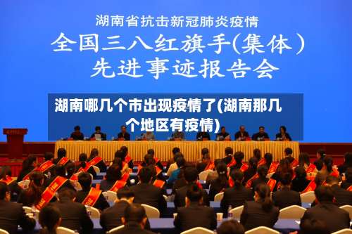 湖南哪几个市出现疫情了(湖南那几个地区有疫情)-第1张图片
