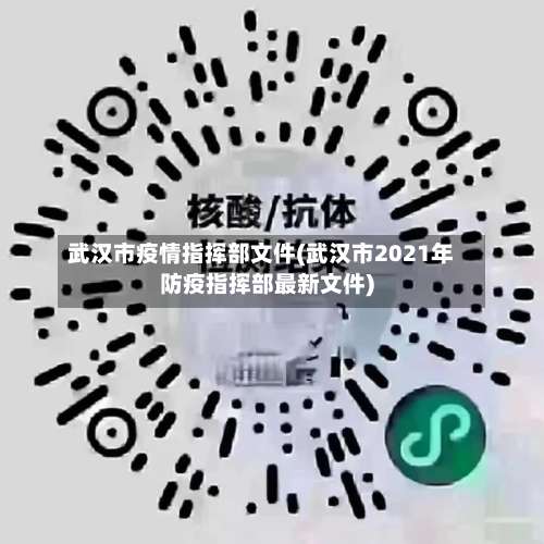 武汉市疫情指挥部文件(武汉市2021年防疫指挥部最新文件)-第1张图片