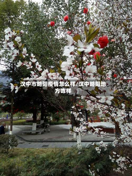 汉中市略阳疫情怎么样/汉中略阳地方咋样-第2张图片