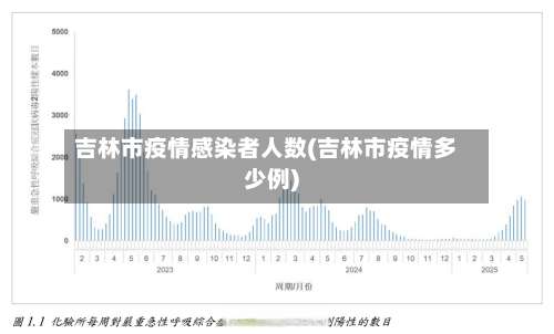 吉林市疫情感染者人数(吉林市疫情多少例)-第2张图片