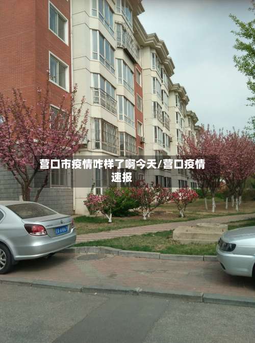 营口市疫情咋样了啊今天/营口疫情速报-第3张图片