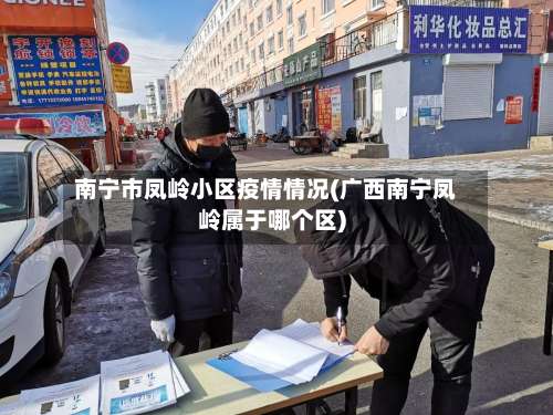 南宁市凤岭小区疫情情况(广西南宁凤岭属于哪个区)-第2张图片