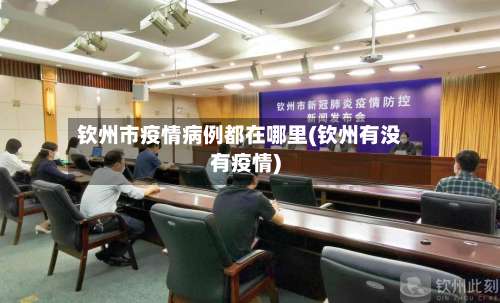 钦州市疫情病例都在哪里(钦州有没有疫情)-第1张图片