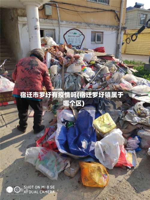 宿迁市罗圩有疫情吗(宿迁罗圩镇属于哪个区)-第2张图片