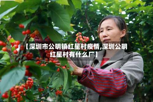 【深圳市公明镇红星村疫情,深圳公明红星村有什么厂】-第1张图片