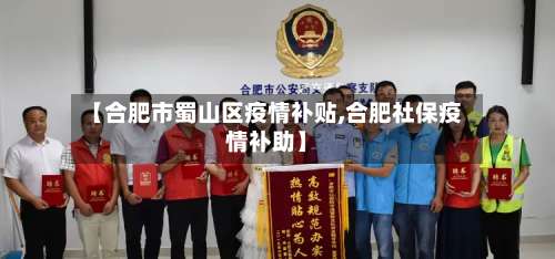 【合肥市蜀山区疫情补贴,合肥社保疫情补助】-第2张图片