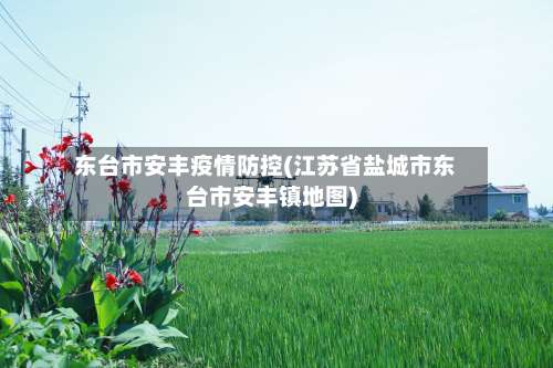 东台市安丰疫情防控(江苏省盐城市东台市安丰镇地图)-第1张图片