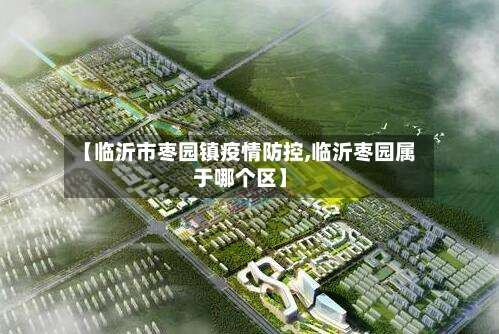 【临沂市枣园镇疫情防控,临沂枣园属于哪个区】-第3张图片