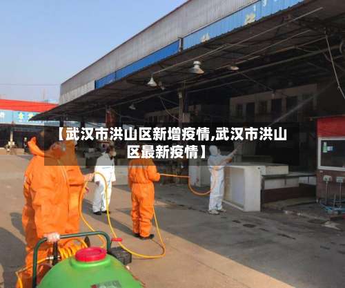 【武汉市洪山区新增疫情,武汉市洪山区最新疫情】-第1张图片