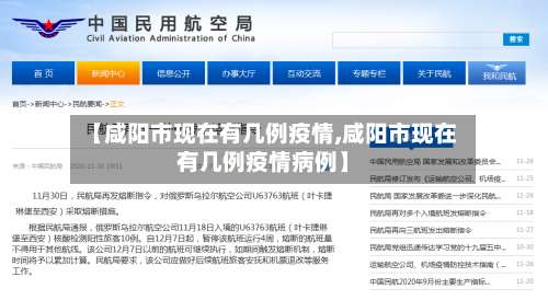 【咸阳市现在有几例疫情,咸阳市现在有几例疫情病例】-第2张图片