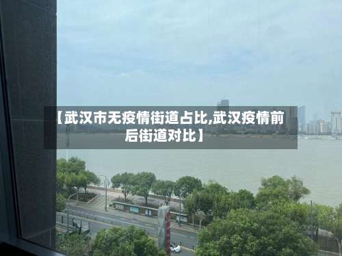 【武汉市无疫情街道占比,武汉疫情前后街道对比】-第3张图片